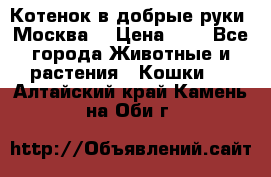 Котенок в добрые руки. Москва. › Цена ­ 5 - Все города Животные и растения » Кошки   . Алтайский край,Камень-на-Оби г.